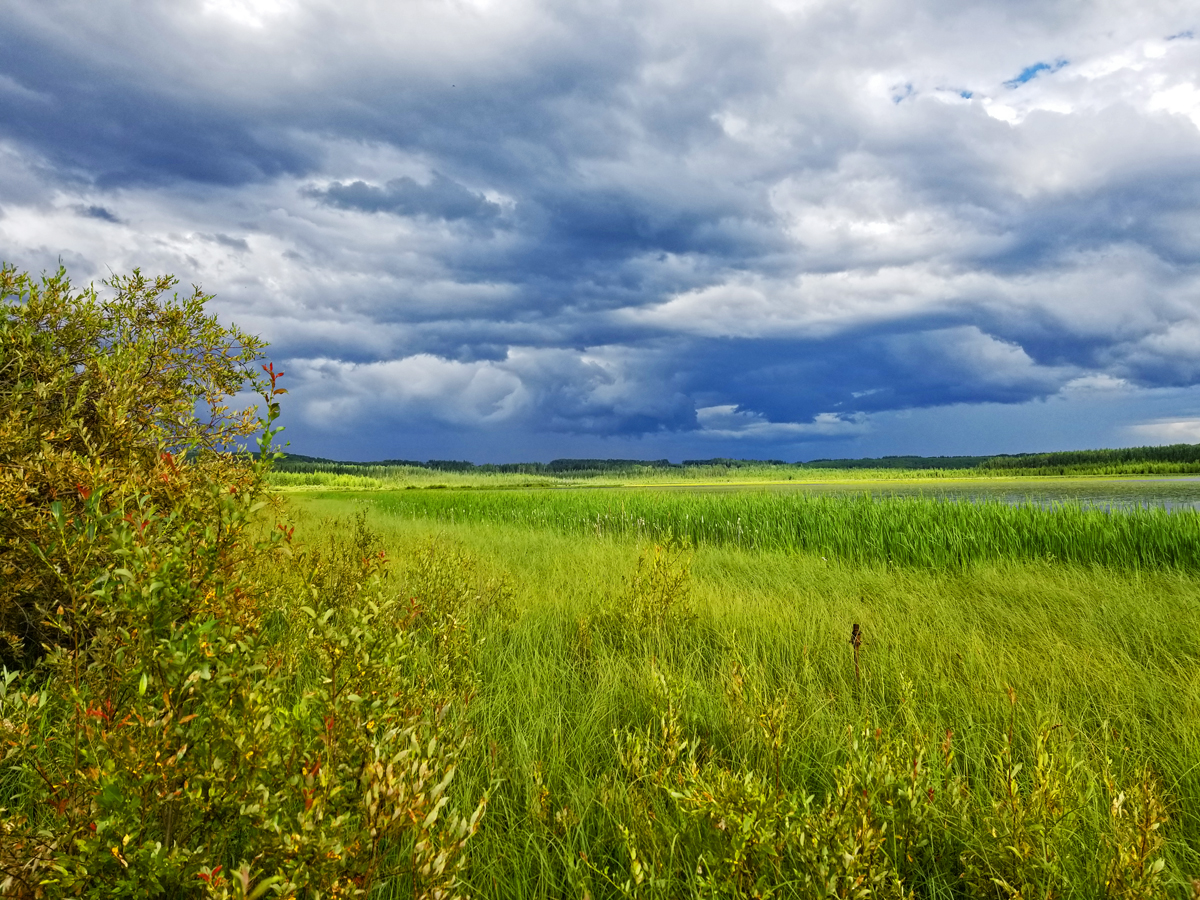 Dramatic clouds over wetland