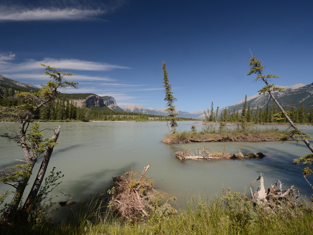 Silty mountain river