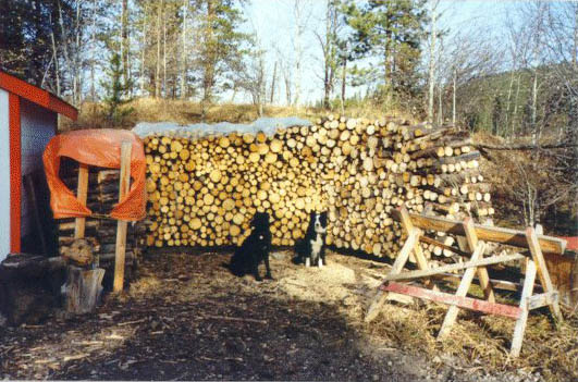 Large pile of firewood