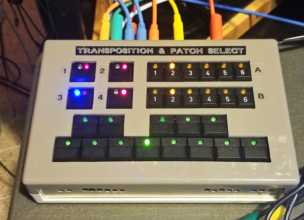 The completed transposition/switching module.